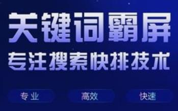不同類(lèi)型的網(wǎng)站需要確定不同的優(yōu)化方案